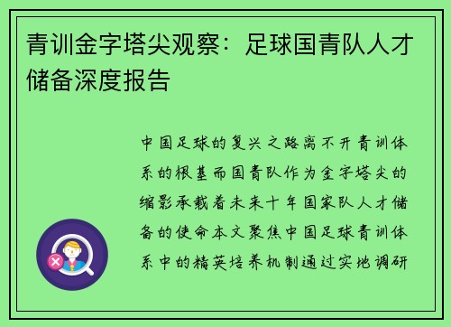青训金字塔尖观察：足球国青队人才储备深度报告