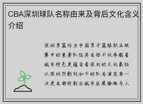 CBA深圳球队名称由来及背后文化含义介绍